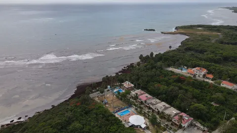 Sargazo — PLAYA SALADILLA (Sur)